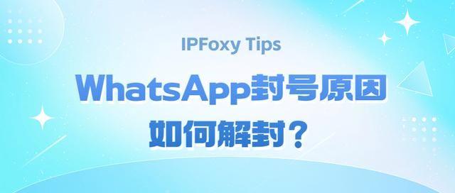 WhatsApp封号的原因？怎么解封防封？